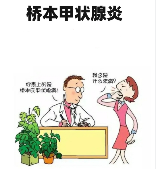 超聲報告上提示甲狀腺回聲不均，考慮橋本甲狀腺炎。什么是橋本？難道我得了日本??？